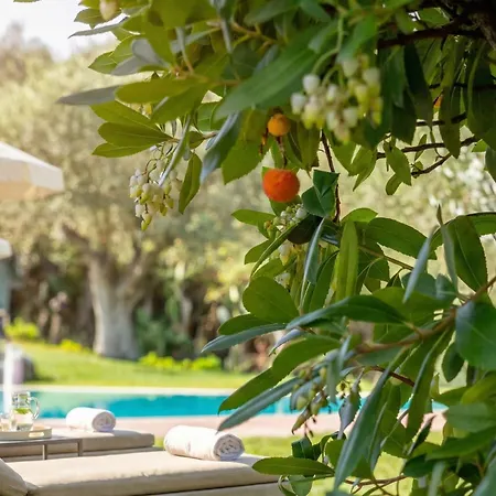 Clicksardegna Angelica Con Piscina E Giardino *