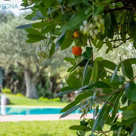 Clicksardegna Angelica Con Piscina E Giardino * Alghero