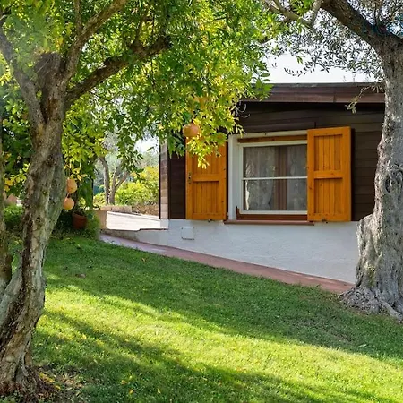 Clicksardegna Angelica Con Piscina E Giardino Villa *