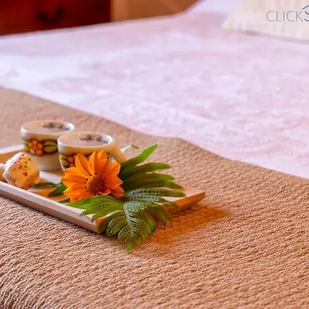 Clicksardegna Angelica Con Piscina E Giardino * Alghero