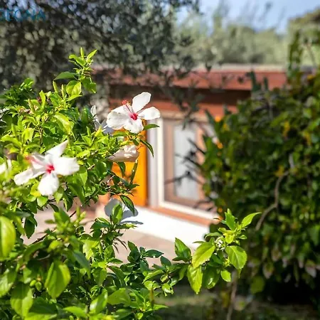 Clicksardegna Angelica Con Piscina E Giardino